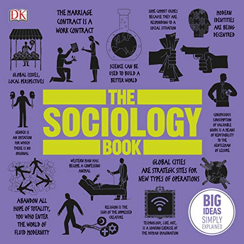 Algopix Similar Product 13 - The Sociology Book Big Ideas Simply