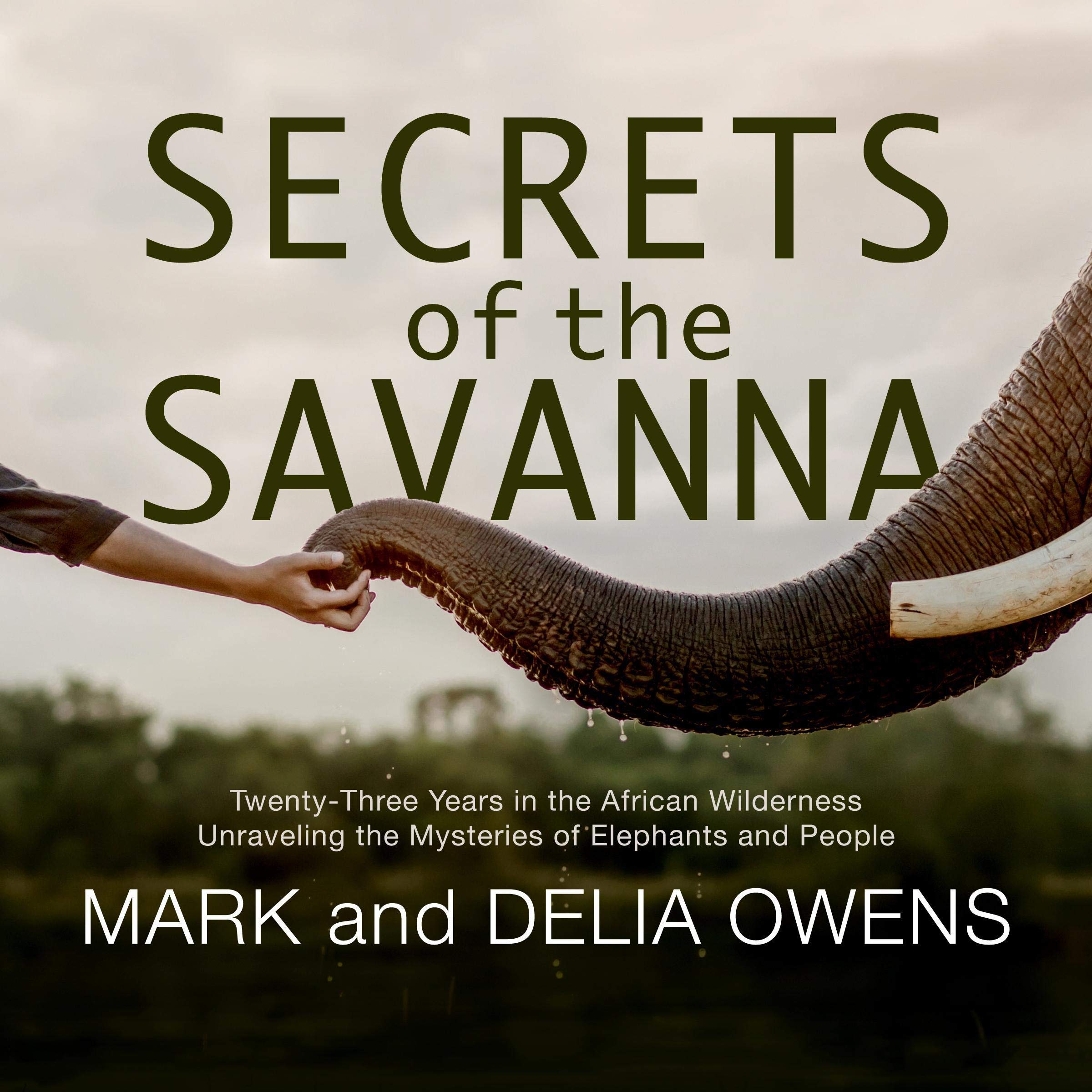 Algopix Similar Product 8 - Secrets of the Savanna TwentyThree