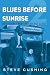 Algopix Similar Product 18 - Blues Before Sunrise 2 Interviews from
