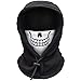 Algopix Similar Product 20 - Kids Balaclava Ski Mask BoysGirls