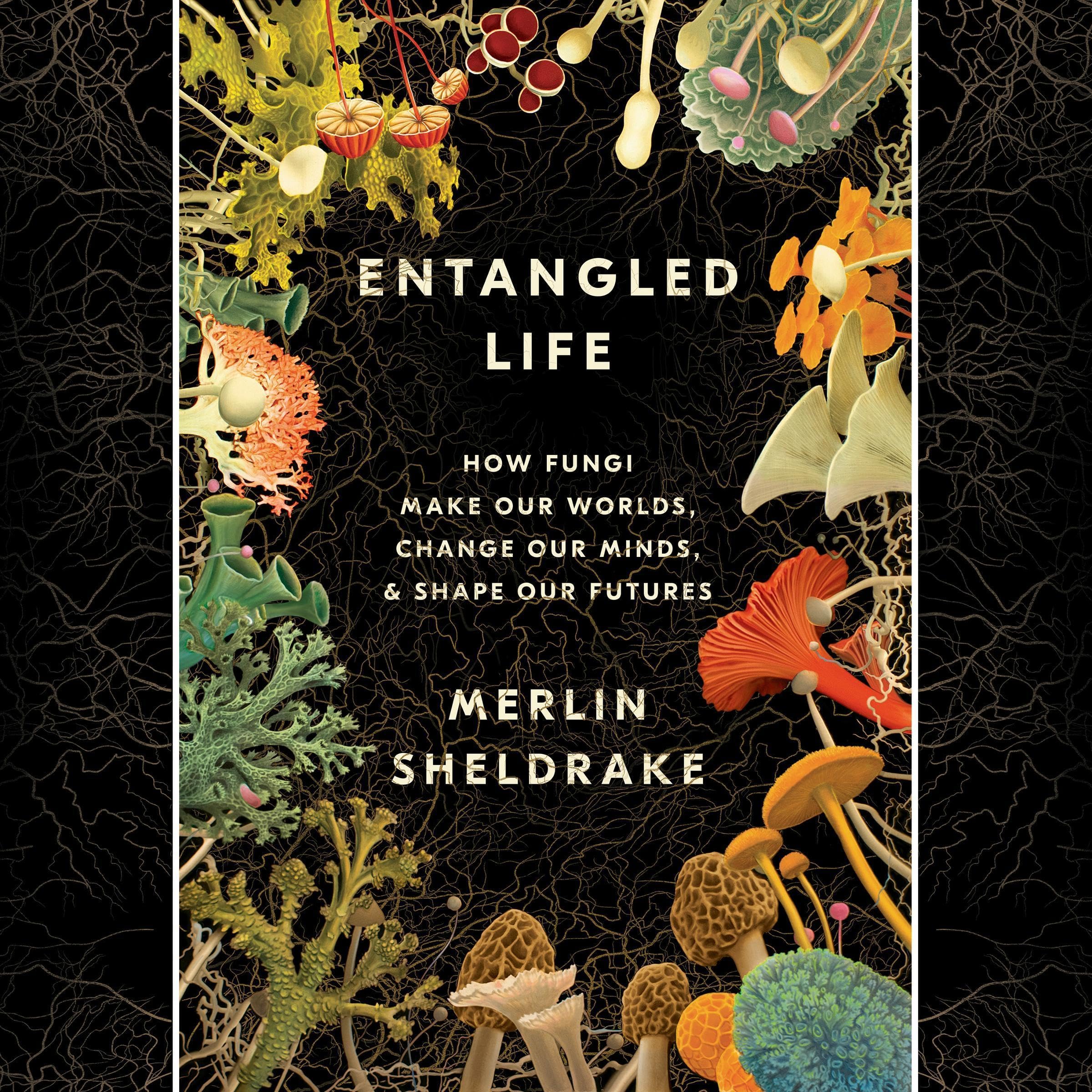 Algopix Similar Product 18 - Entangled Life How Fungi Make Our