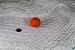 Algopix Similar Product 14 - Golf Ball Barrier Hockey Barrier