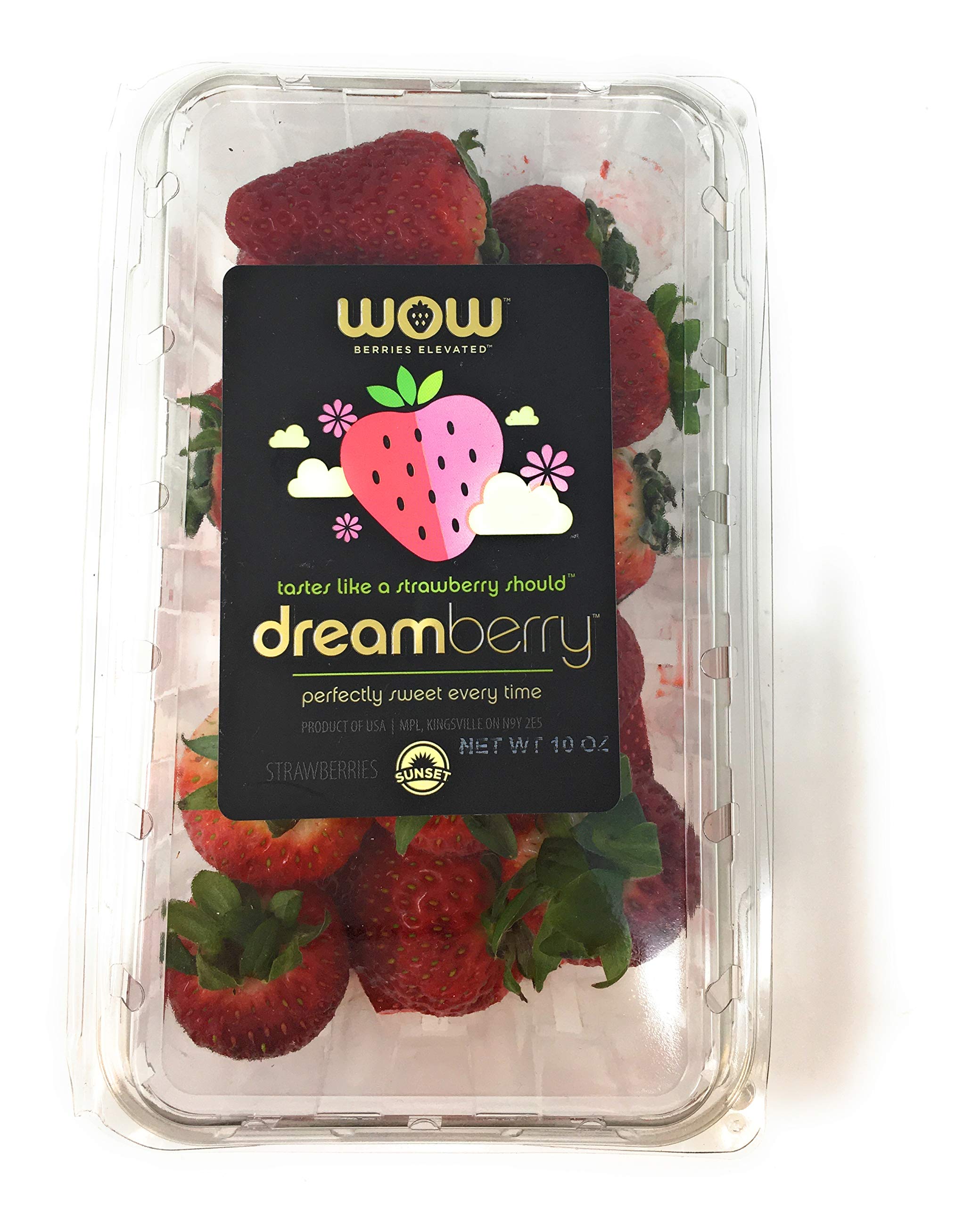 Algopix Similar Product 12 - PRODUCE Strawberries, 10 OZ