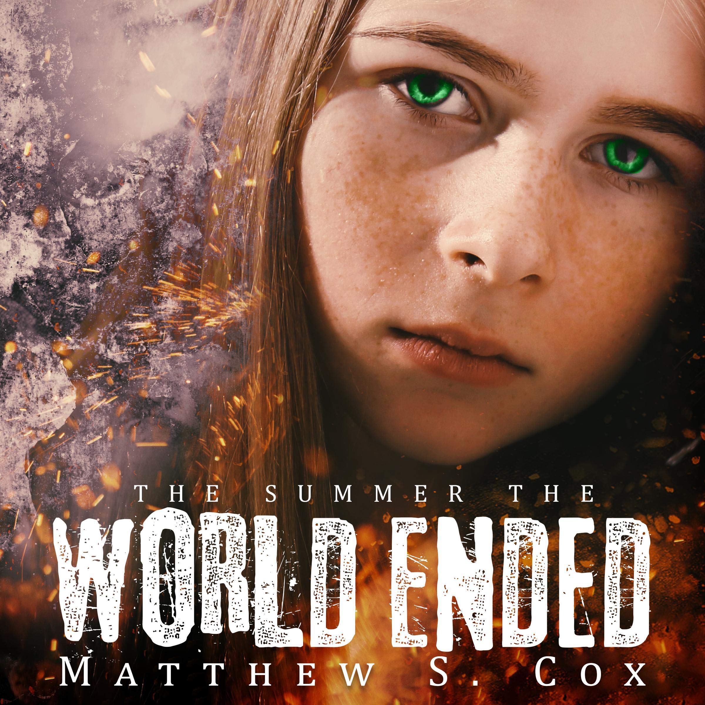 Algopix Similar Product 3 - The Summer the World Ended