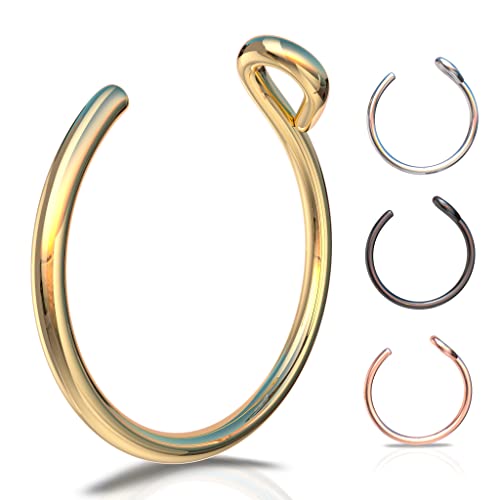 Algopix Similar Product 14 - Fake Clip On Nose Ring 24g  No