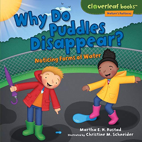 Algopix Similar Product 19 - Why Do Puddles Disappear Noticing