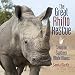 Algopix Similar Product 5 - The Great Rhino Rescue Saving the