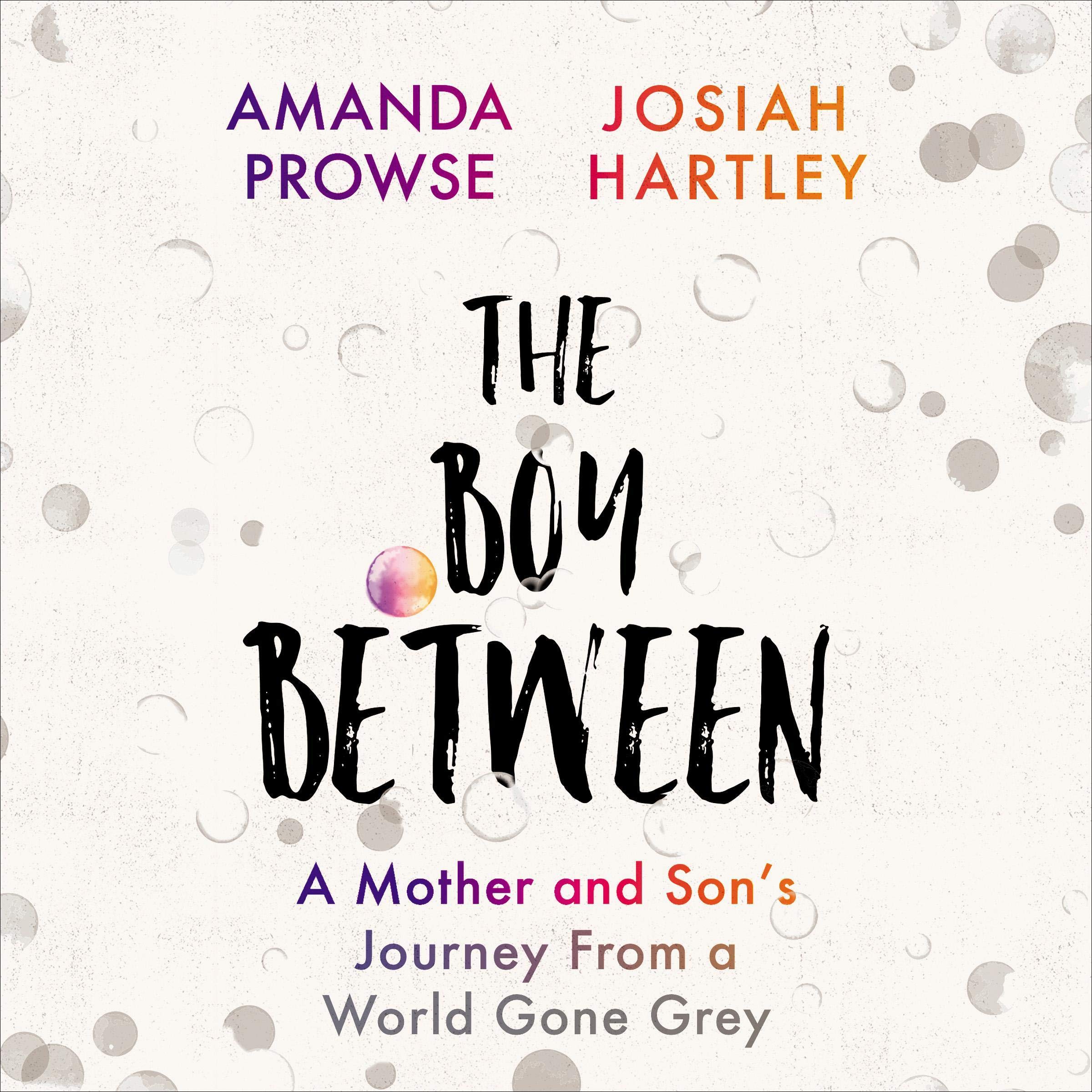 Algopix Similar Product 13 - The Boy Between A Mother and Sons