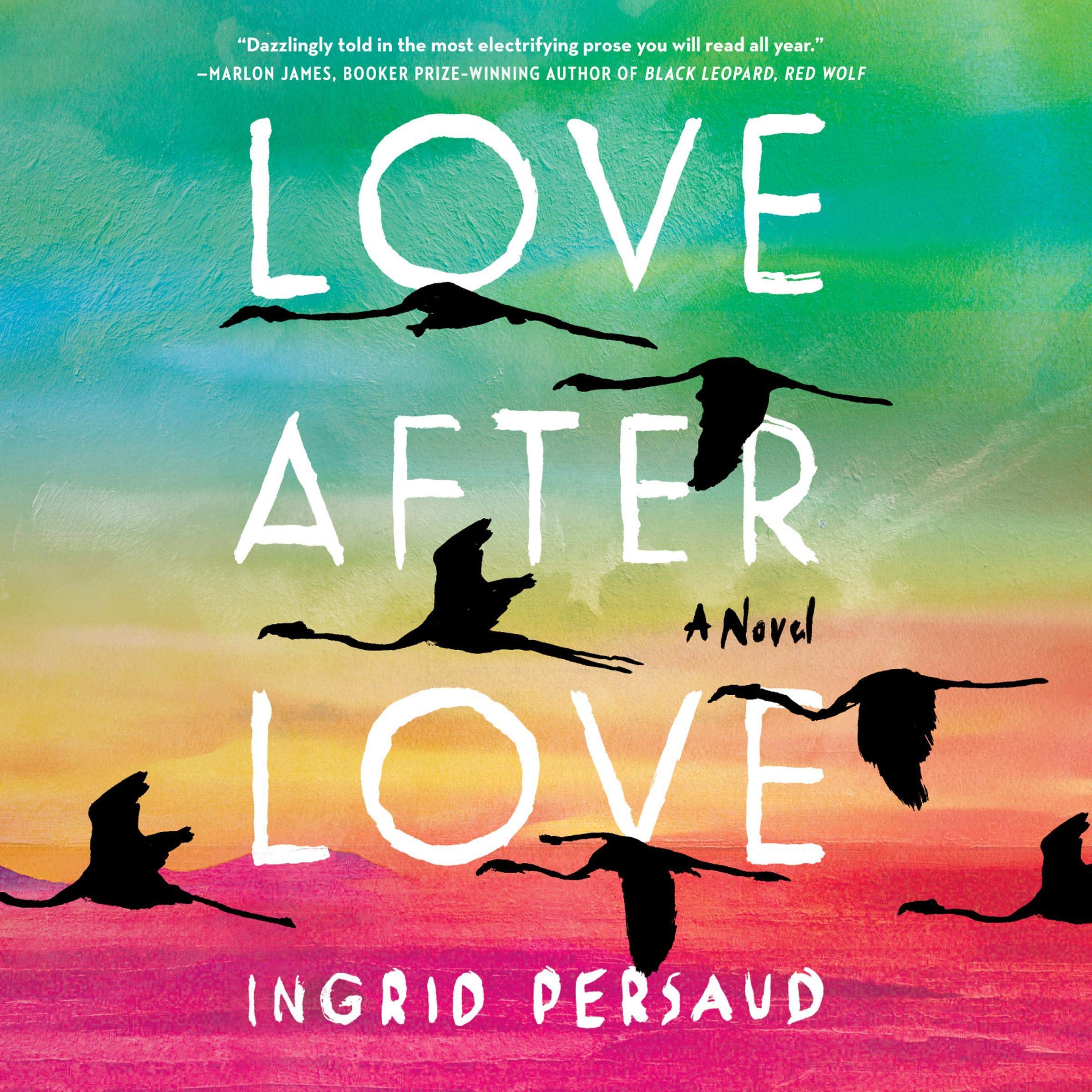 Algopix Similar Product 20 - Love After Love: A Novel