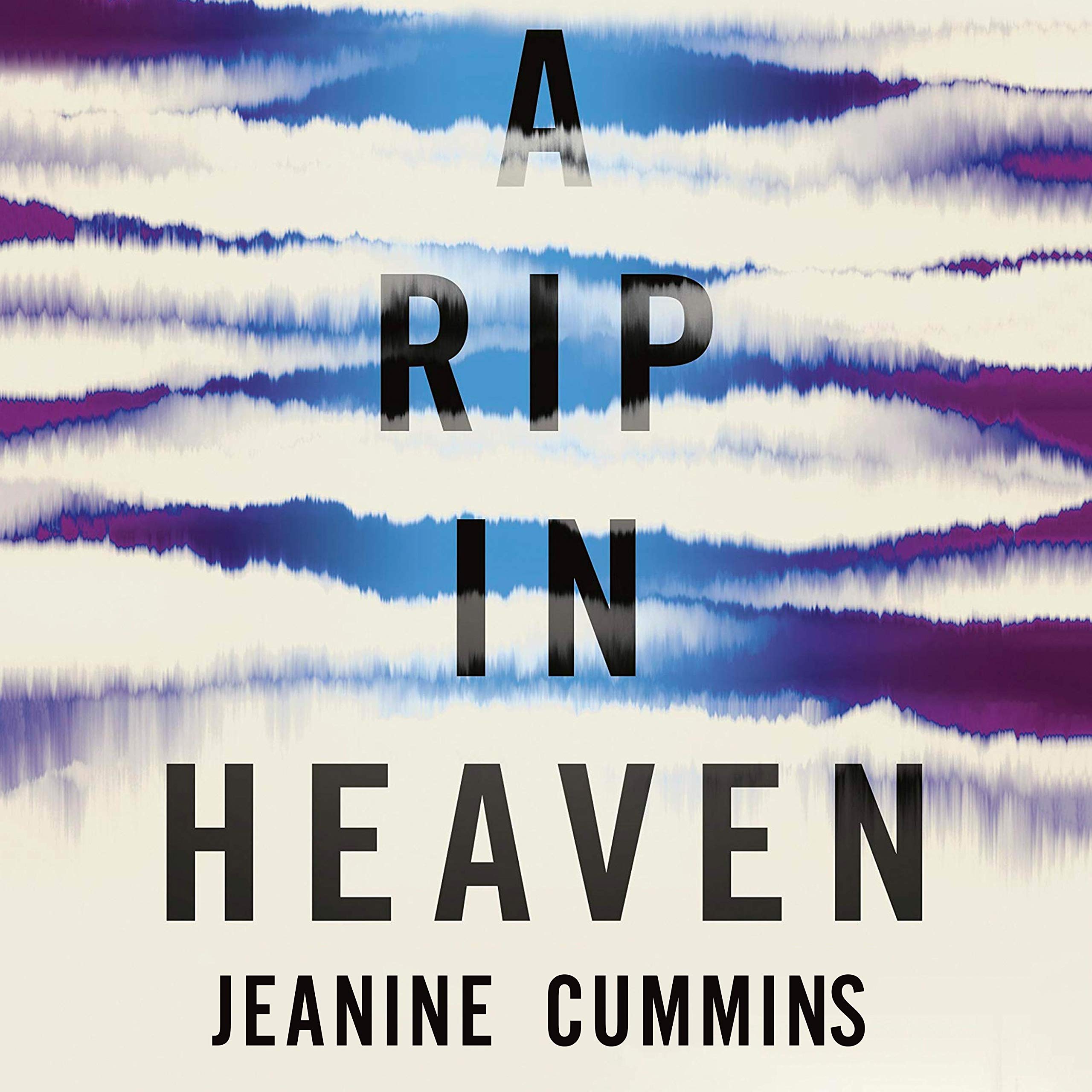 Algopix Similar Product 15 - A Rip in Heaven