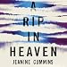 Algopix Similar Product 10 - A Rip in Heaven