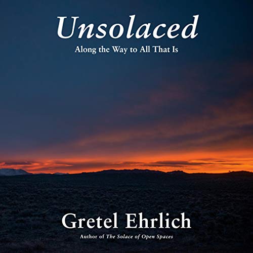 Algopix Similar Product 1 - Unsolaced: Along the Way to All That Is