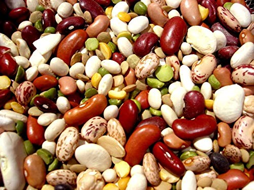 Algopix Similar Product 20 - 10 Bean Soup Mix- Dry (1)