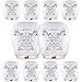 Algopix Similar Product 12 - Chinese Lanterns 10Pack ECO Friendly