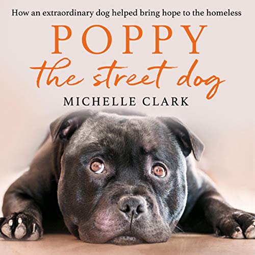 Algopix Similar Product 10 - Poppy the Street Dog How an