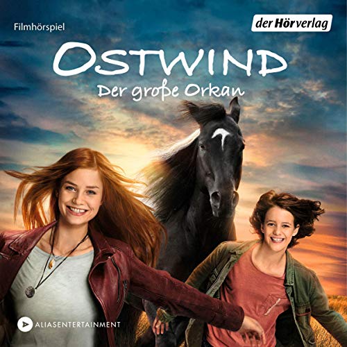 Algopix Similar Product 8 - Der große Orkan: Ostwind 5