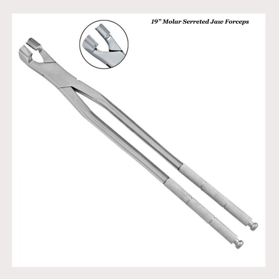 Algopix Similar Product 3 - Equinez Tools 19  12 Serrated Jaw