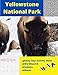 Algopix Similar Product 15 - Yellowstone National Park Rainy Day