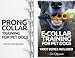 Algopix Similar Product 13 - Dog Training for Pet Dogs
