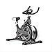 Algopix Similar Product 6 - FEFCK Cycling Exercise Bike Indoor