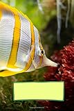 Algopix Similar Product 2 - Fish, Marine Life Notebook, Journal