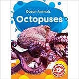 Algopix Similar Product 2 - Octopuses
