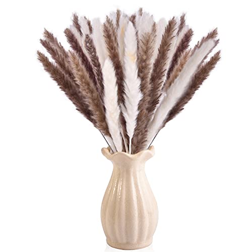 Algopix Similar Product 6 - Dry Pampas Grass Natural Dried Bundle