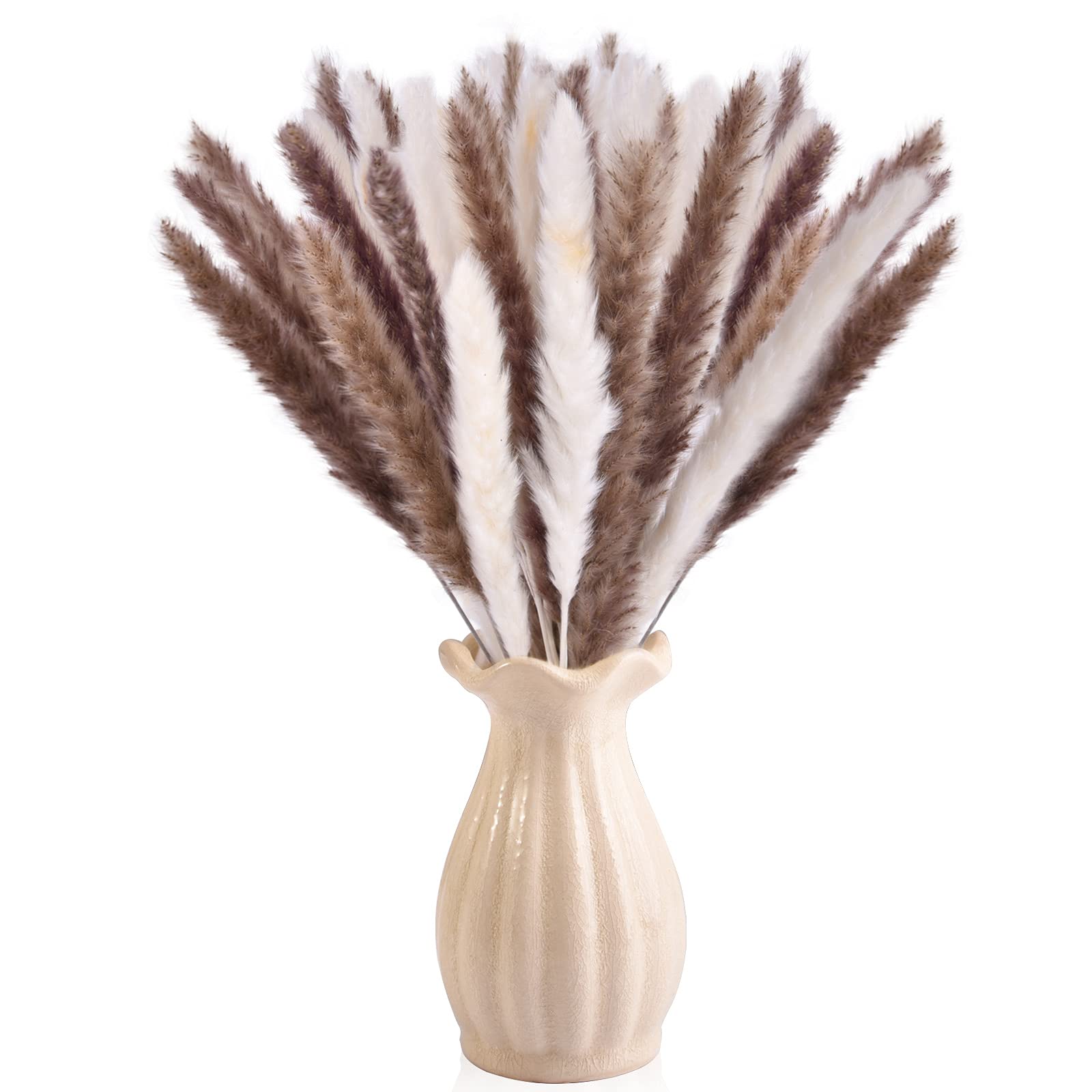 Algopix Similar Product 9 - Dry Pampas Grass Natural Dried Bundle