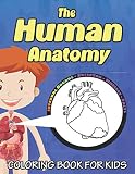 Algopix Similar Product 19 - The Human Anatomy Coloring Book for