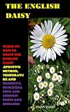 Algopix Similar Product 2 - THE ENGLISH DAISY  Guide on How to