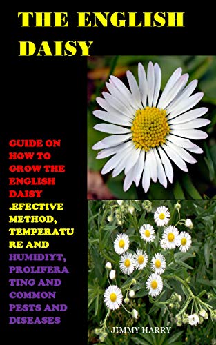Algopix Similar Product 15 - THE ENGLISH DAISY  Guide on How to
