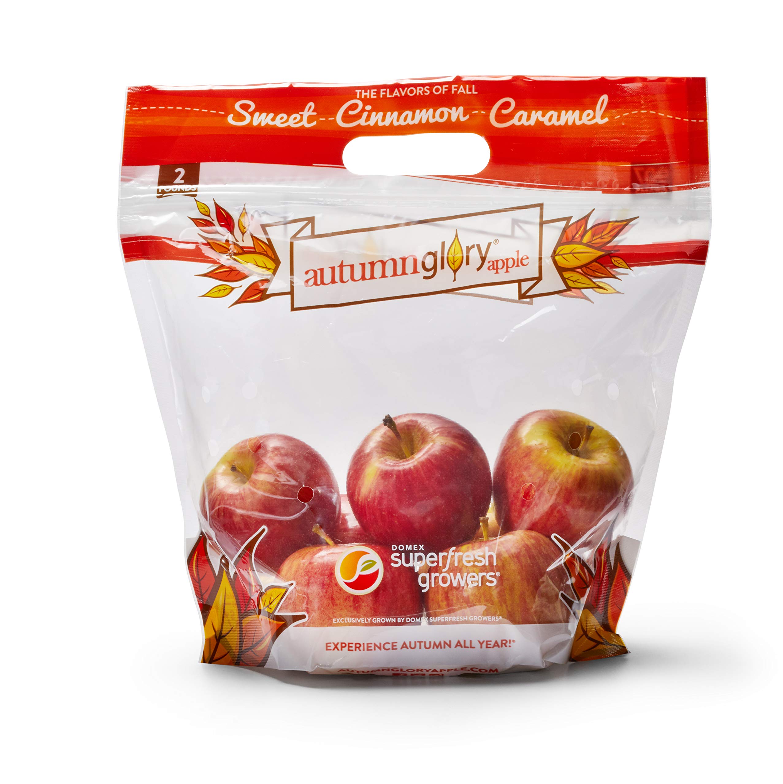 Algopix Similar Product 7 - Produce Autumn Glory Apples, 2 lb