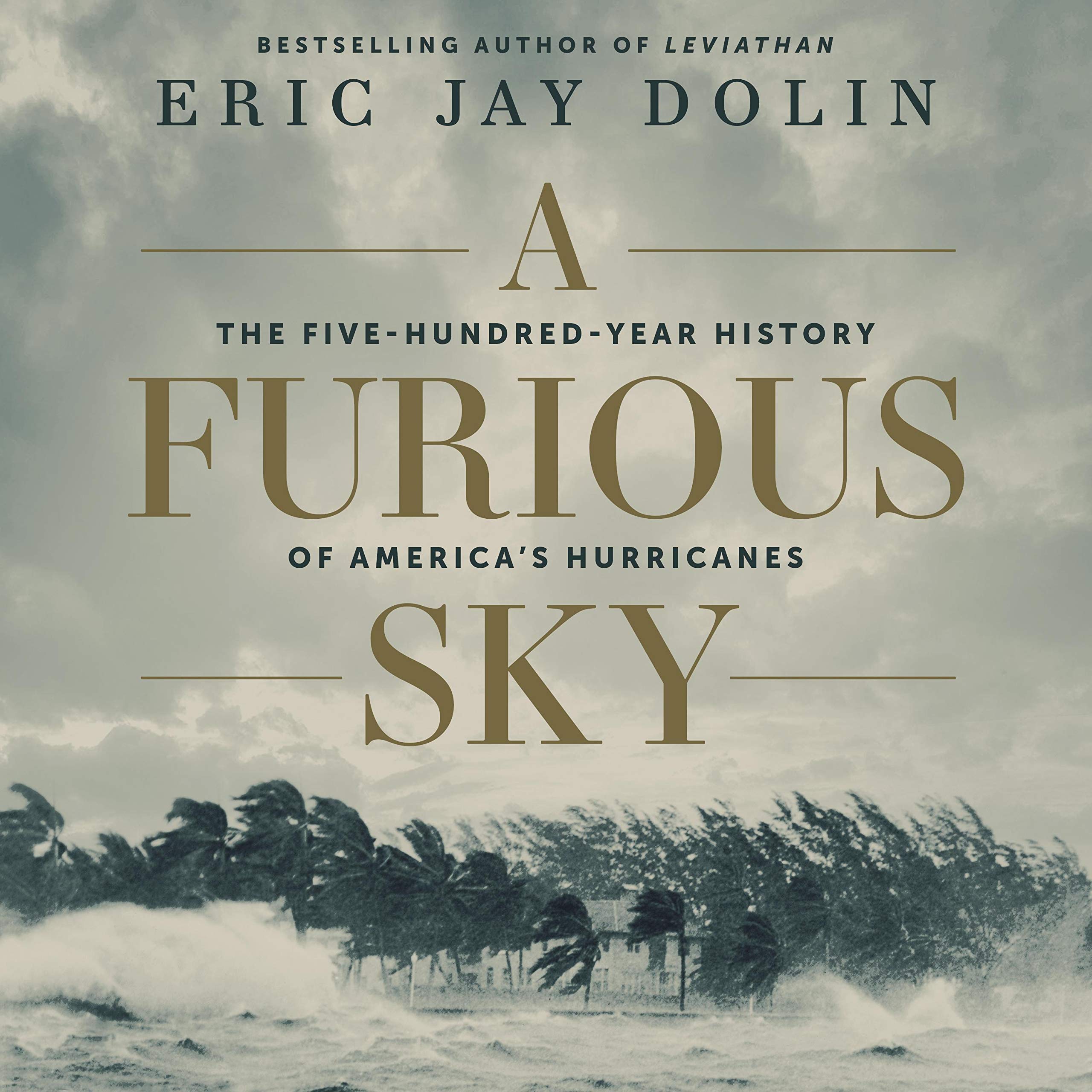 Algopix Similar Product 10 - A Furious Sky The FiveHundredYear