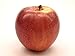 Algopix Similar Product 1 - Kauffman Orchards FreshPicked Gala