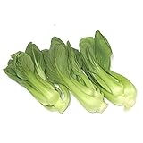 Algopix Similar Product 18 - One pound Chinese Young Baby Bok Choy