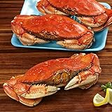 Algopix Similar Product 9 - Evaxo Whole Cooked Dungeness Crab