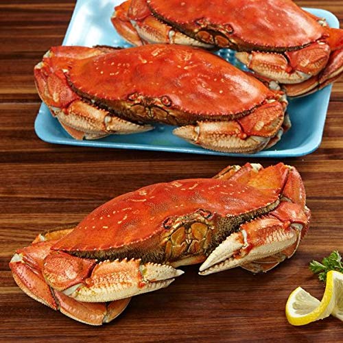 Algopix Similar Product 19 - Evaxo Whole Cooked Dungeness Crab