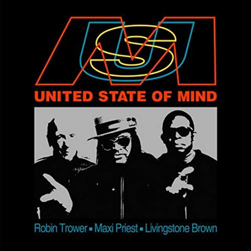 Algopix Similar Product 14 - United State of Mind