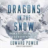Algopix Similar Product 8 - Dragons in the Snow Avalanche