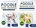 Algopix Similar Product 2 - Poodle Training