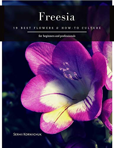 Algopix Similar Product 8 - Freesia 19 Best Flowers  Howto