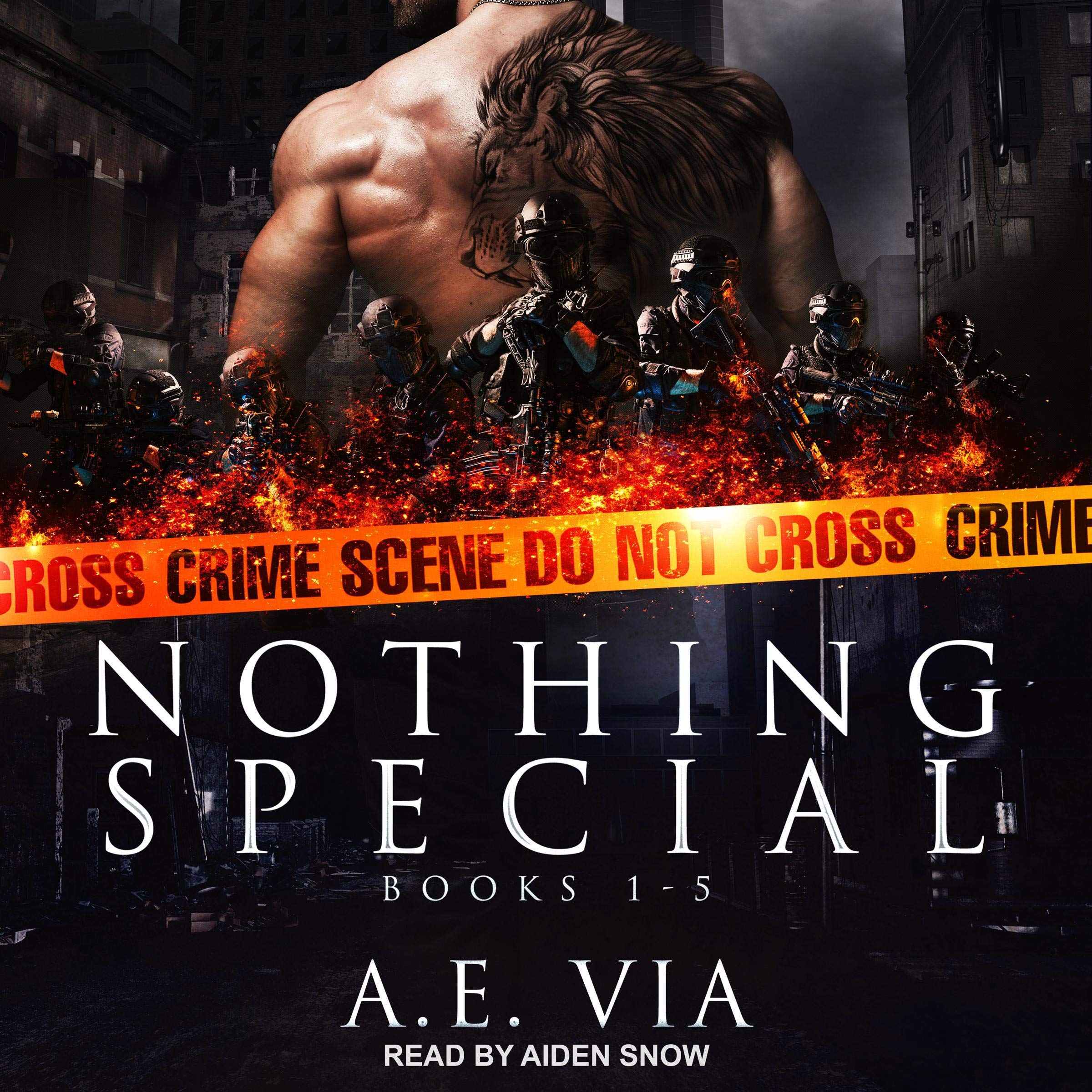 Algopix Similar Product 7 - Nothing Special Series Box Set Books