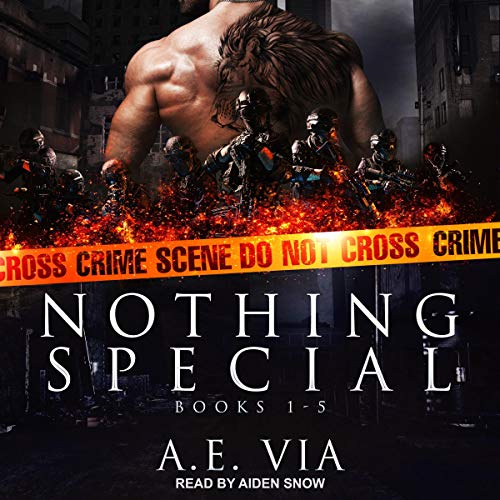 Algopix Similar Product 6 - Nothing Special Series Box Set Books