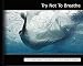 Algopix Similar Product 18 - Try Not to Breathe The Underwater