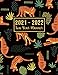 Algopix Similar Product 10 - 20212022 Two Year Planner 20212022