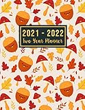 Algopix Similar Product 20 - 20212022 Two Year Planner 20212022