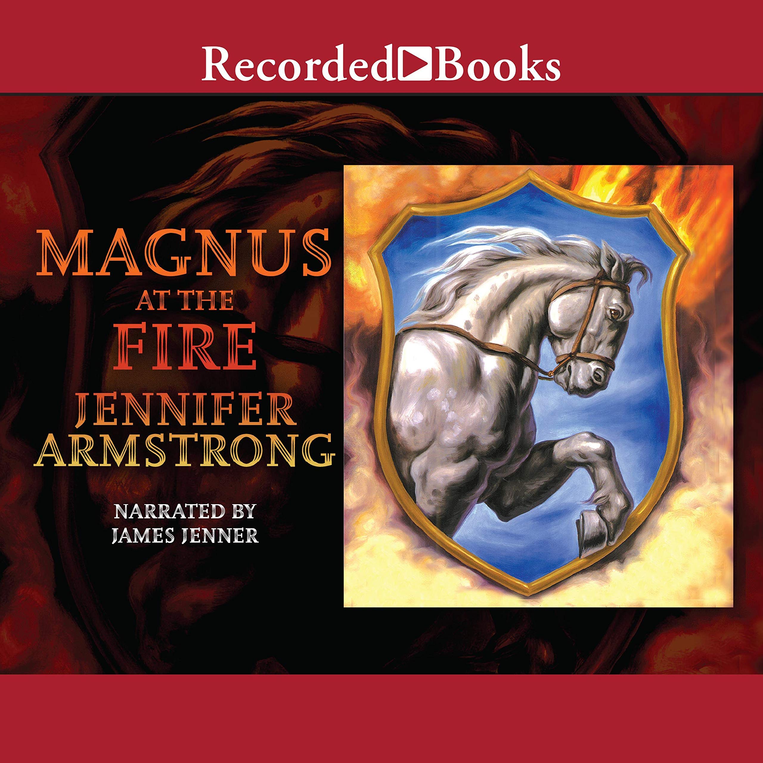 Algopix Similar Product 15 - Magnus at the Fire