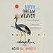 Algopix Similar Product 7 - Birth of a Dream Weaver A Writers