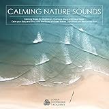 Algopix Similar Product 7 - Calming Nature Sounds with Calming