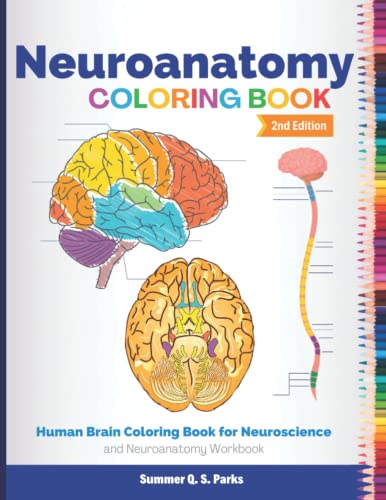 Algopix Similar Product 8 - Neuroanatomy Coloring Book Human Brain
